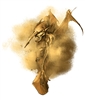 Hercanon's avatar