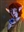 The_Ginger_Firbolg's avatar