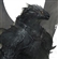 PerchyBrown's avatar