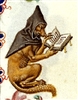 Pmg's avatar