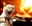 Browniatus's avatar