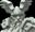 Coop559's avatar