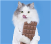 ChocolateExpert2011's avatar