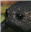 Ssslimmer's avatar