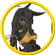 DarksAnthro's avatar