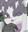 Slothington's avatar