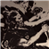 cezender's avatar