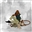 Gabespan's avatar