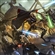 quickslash's avatar