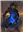 SeanDomV's avatar