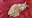 Slinkydog11's avatar