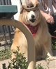 alexball923's avatar