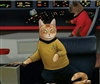 MeMow42's avatar