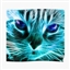 LightningCat_life's avatar