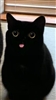 kalelol's avatar
