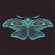 KNOXXIS's avatar