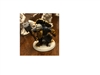 TowelietheElf's avatar