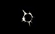 TheWyrmbloodPaladin's avatar