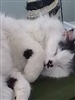 PholoaOfNone's avatar