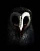 Poe_Tyt's avatar