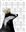 BadgerHorseMan's avatar