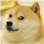 noobz101's avatar