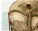 Quincy_IVJ's avatar