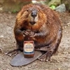 DarkBeaver's avatar