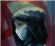 Shepmom1's avatar