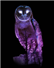 NightOwl13's avatar