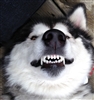 MarsCreature's avatar