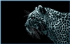 BorisArmstrong1995's avatar