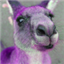 JacobAnthony's avatar