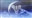 Department_C's avatar