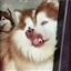 Dazefire1200's avatar
