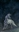 moonmeydn's avatar