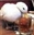 Sucaliaric's avatar
