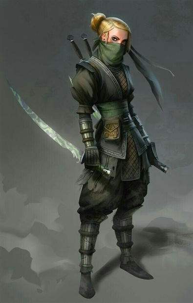 Ninja Image