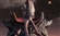 Zellix's avatar