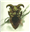 Nozarashi993's avatar