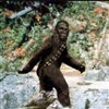 Trekka's avatar