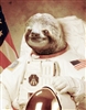 Nordg's avatar