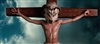 Liam_Kirkwood's avatar