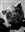 Toaoa_of_the_balanced_counsel's avatar