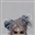 notkirova's avatar