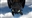 GrubonvinGruesome's avatar