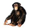 TheLeaderOfTheMemeists's avatar