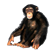 TheLeaderOfTheMemeists's avatar