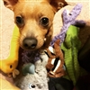 GraniteArmadillo's avatar