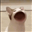 Lottuce's avatar